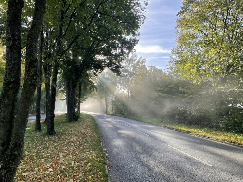Heisinger Straße im Herbst